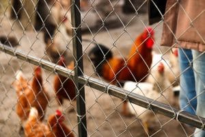 Vallados metálicos Zaragoza